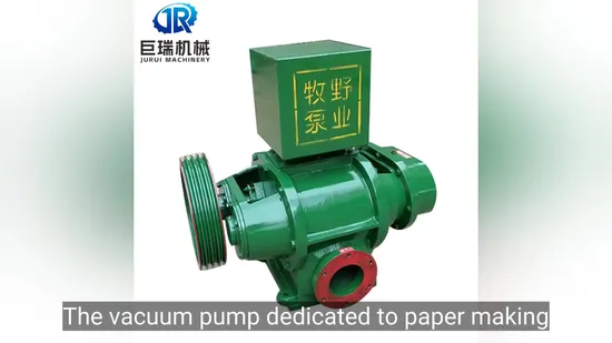Recycling Paper Preparation Machines Roots Vacuum Pump for Paper Mills Use